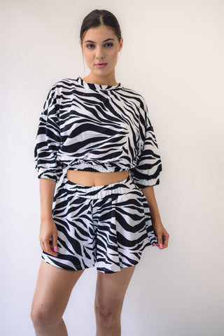 Set Zebra