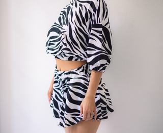 Set Zebra